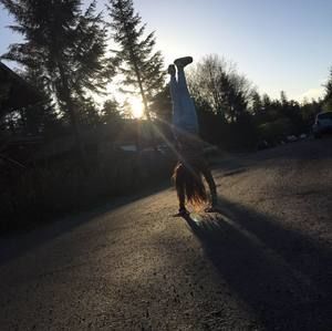 Meet your Posher, Bailey